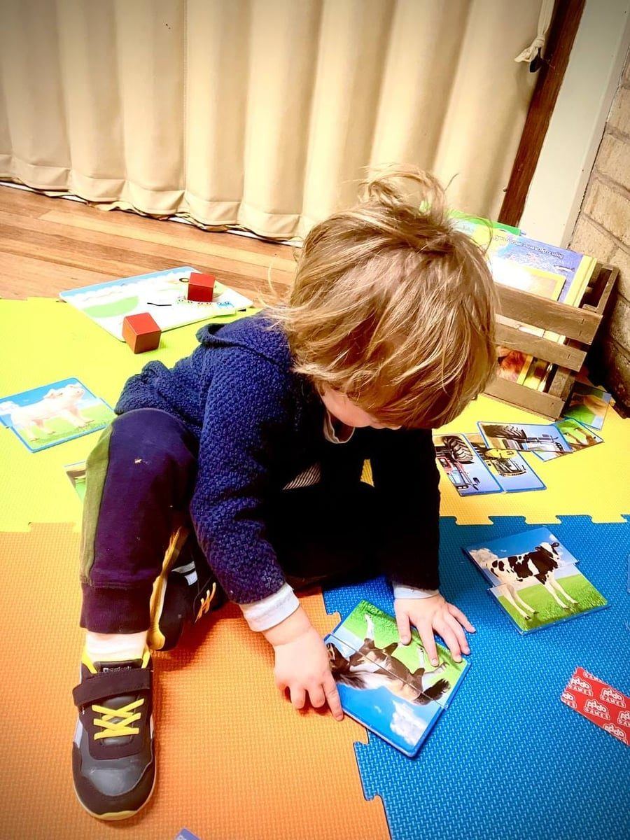 Toddler matching animal cards at ME Montessori Nursery — language and classification